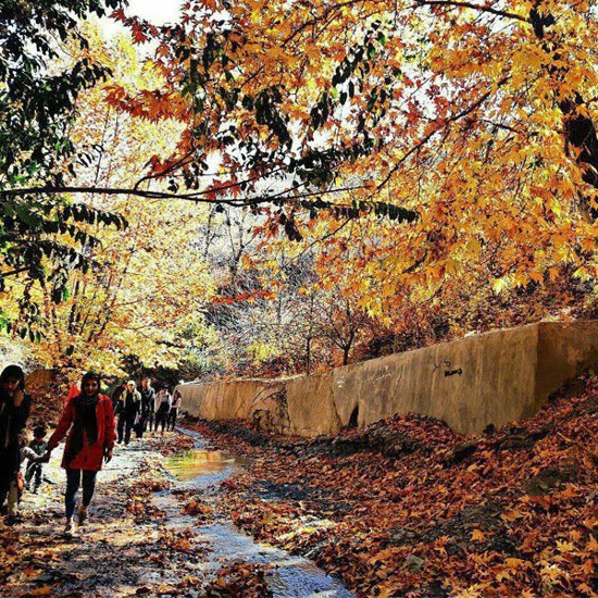 تصویر از رزرو راهنمای طبیعت گردی روستای دهبار