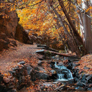 تصویر از رزرو راهنمای طبیعت گردی کنگ