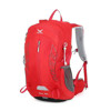 کوله پشتی اسنوهاک مدل راک 30 لیتری	